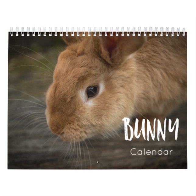 Calendario Bunny ( Conejos ) 2023 (Tapa)