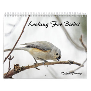 Calendario - ¿Buscando Aves?