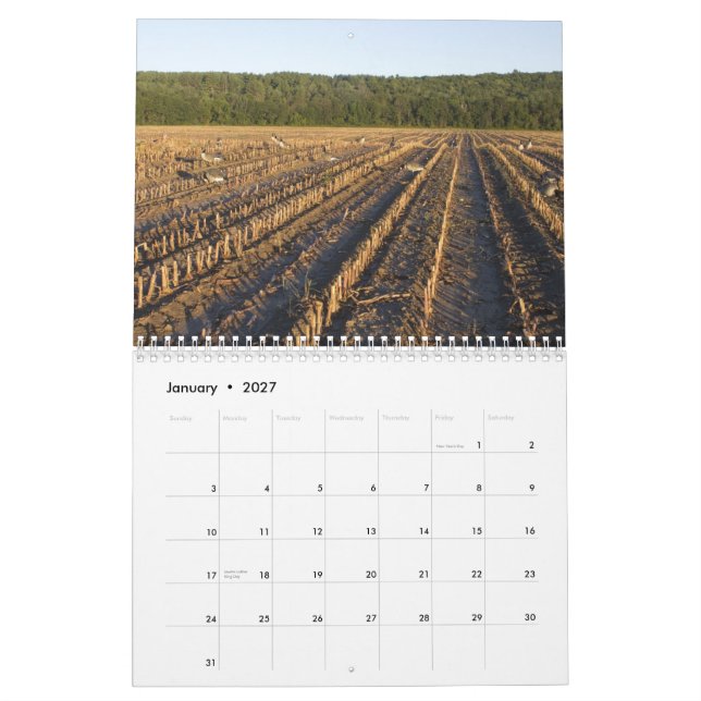 Calendario Búsqueda de las aves acuáticas (Jan 2027)