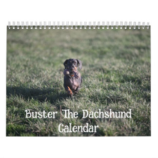 Calendario Buster el Dachshund