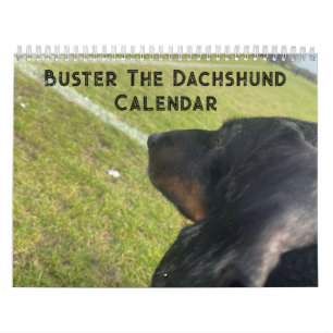 Calendario Buster el Dachshund