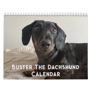 Calendario Buster el Dachshund