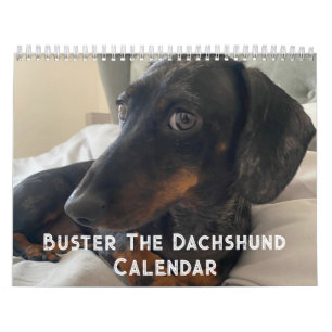 Calendario Buster el Dachshund