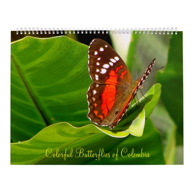 Calendario Butteflies tropical (Tapa)