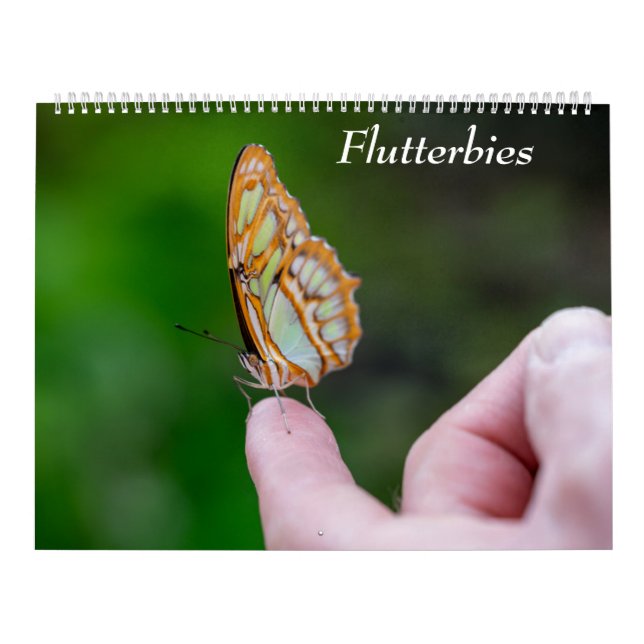 Calendario Butterflies (Tapa)