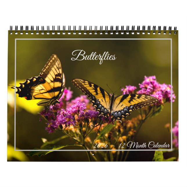 Calendario Butterflies 12 Month Calendar (Tapa)