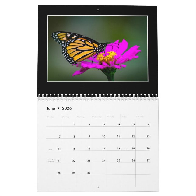 Calendario Butterflies 2020 De Tom Minutolo (Jun 2026)