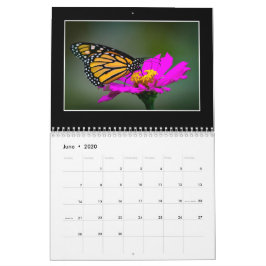Calendario Butterflies 2020 De Tom Minutolo