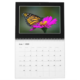 Calendario Butterflies 2020 De Tom Minutolo