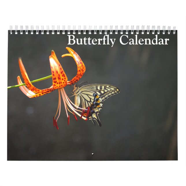 Calendario Butterflies 2025 (Tapa)