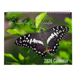 Calendario Butterflies of Wonder 2026 Nature Calendar
