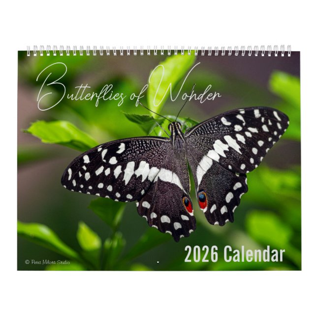 Calendario Butterflies of Wonder 2026 Nature Calendar (Tapa)