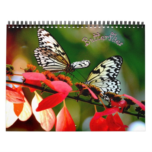 Calendario Butterfly Calendar (Tapa)