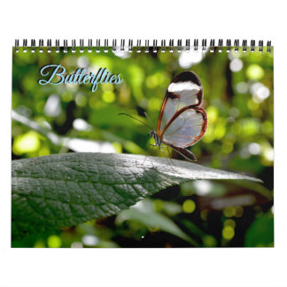Calendario Butterfly Calendar