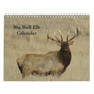 Calendario C10 Big Bull Elk Calendar