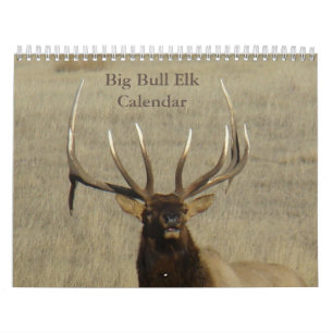 Calendario C9 Gran Toro Alce