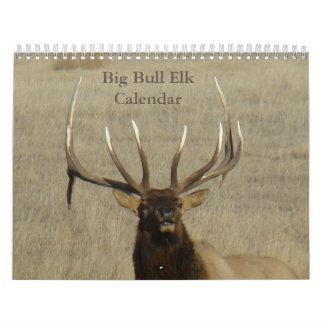 Calendario C9 Gran Toro Alce