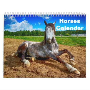 Calendario Caballo 2027