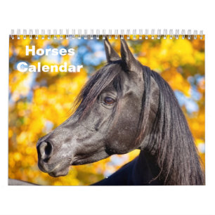 Calendario Caballo 2027