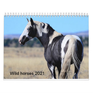 Calendario Caballo salvaje 2018 calander por Photography By C
