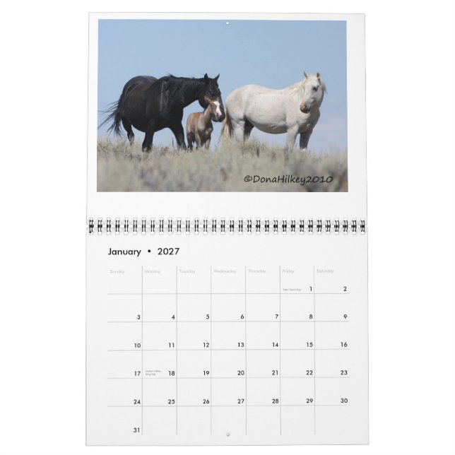 Calendario Caballo salvaje Calander del lavabo de la arena (Jan 2027)