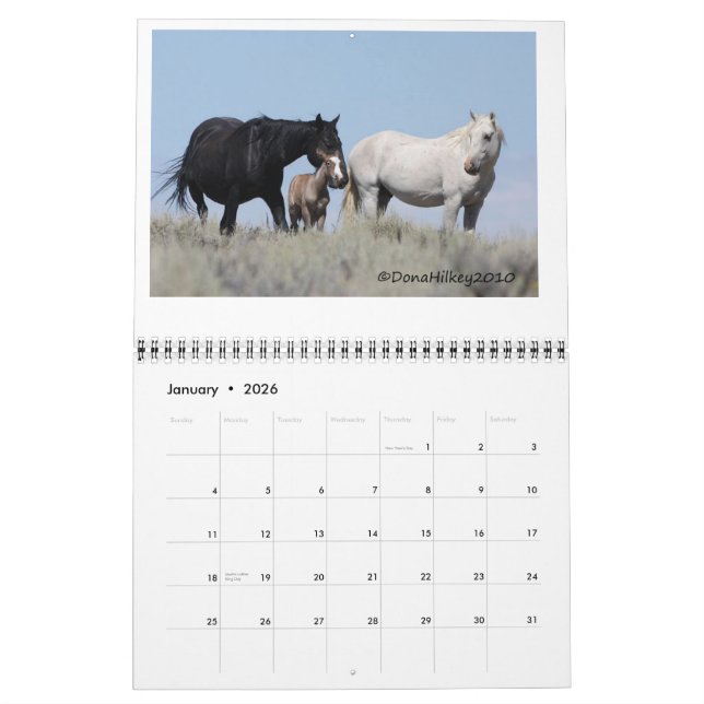 Calendario Caballo salvaje Calander del lavabo de la arena (Jan 2026)