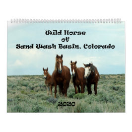 Calendario Caballo salvaje de cuenca de lavado de arena