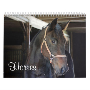 Calendario Caballos