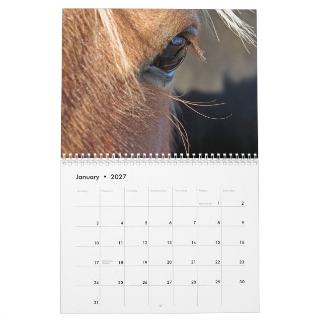 Calendario Caballos (Jan 2027)