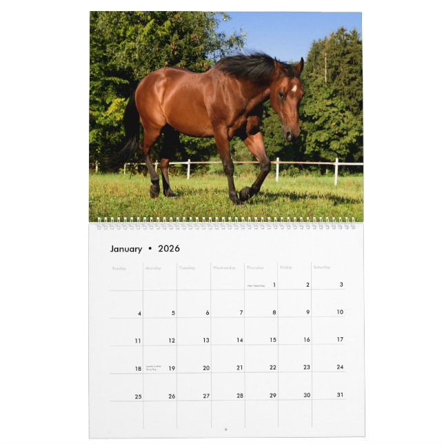 Calendario Caballos (Jan 2026)