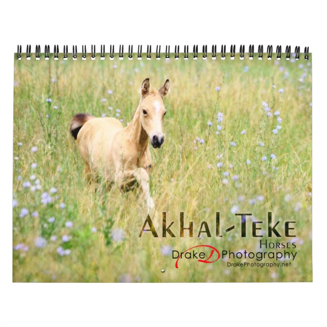 Calendario Caballos Akhal-Teke 2 (Tapa)