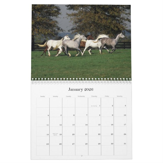 Calendario Caballos árabes (Jan 2026)