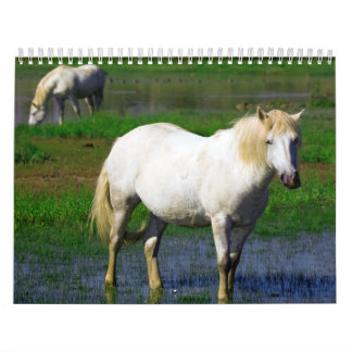 CALENDARIO CABALLOS BLANCOS