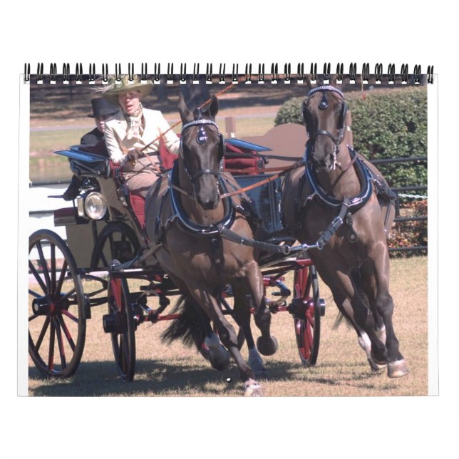 Calendario caballos de carreras (Tapa)