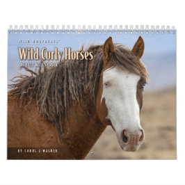 Calendario Caballos de Curly salvajes de Salt Wells Creek Cal