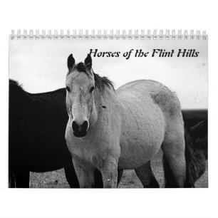 Calendario Caballos de las colinas del pedernal