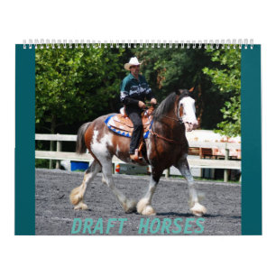 CALENDARIO CABALLOS DE PROYECTO