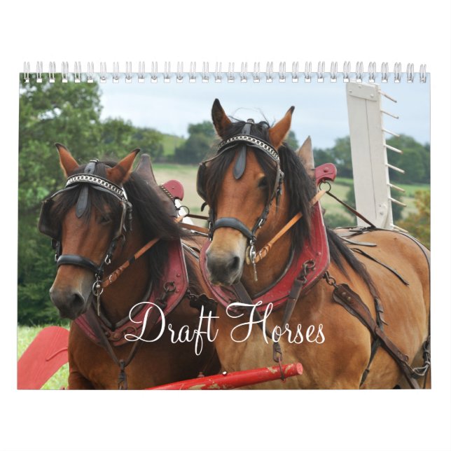 Calendario Caballos de proyecto 2016 (Tapa)