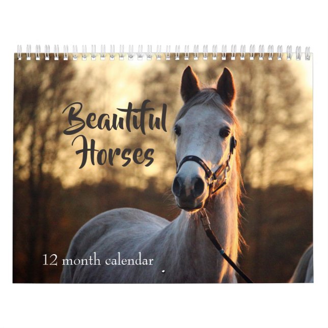 Calendario Caballos hermosos de 2026 (Tapa)