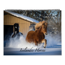 Caballos islandeses 2025