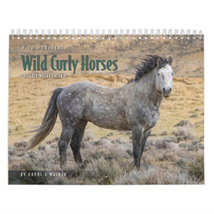 Calendario Caballos Rizados Salvajes de Salt Wells Creek Cale