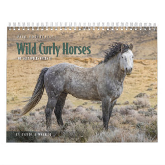 Calendario Caballos Rizados Salvajes de Salt Wells Creek Cale