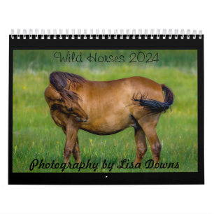 Calendario Caballos salvajes 2024