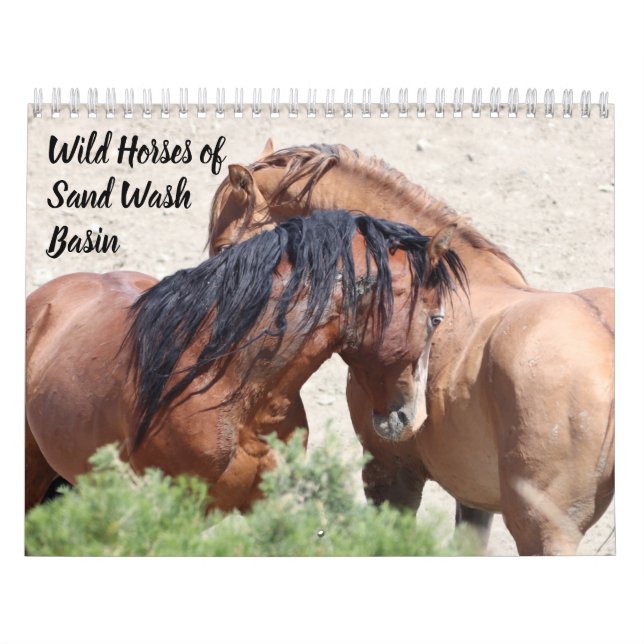 Calendario Caballos salvajes de cuenca de lavado de arena (Tapa)