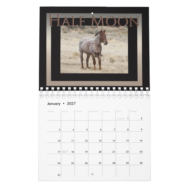 Calendario Caballos salvajes de la cuenca del lavado de arena (Jan 2027)