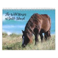 Caballos Salvajes de la Isla de Sable