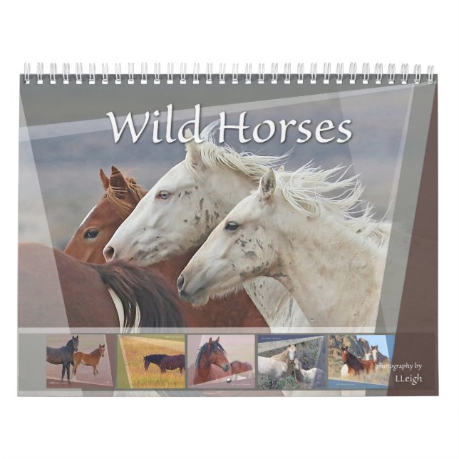 Calendario Caballos salvajes de Occidente (Tapa)