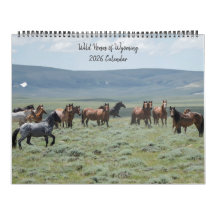 Caballos salvajes de Wyoming