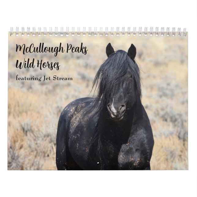 Calendario Caballos salvajes McCullough Peaks (Tapa)