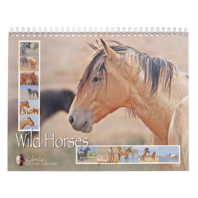 Calendario Caballos salvajes (un calendario) (Tapa)